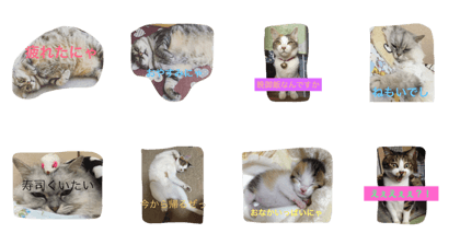 doisan's cats