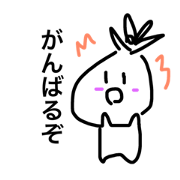 nasuotoko