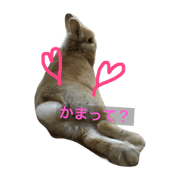 yujirou