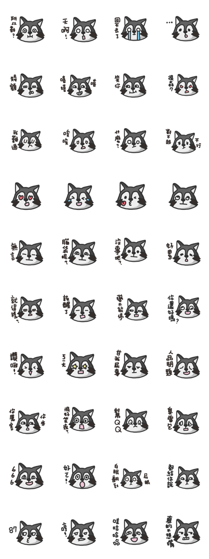 nasty raccoon