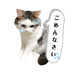 ちょろ◎#2【猫】【敬語】【日常】