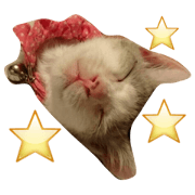 Kitty sticker please heal