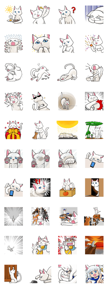 BaiYe cat
