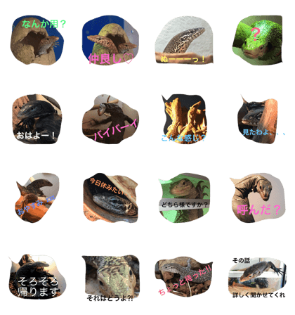 varanus