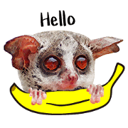 Pizzatoru of monkey
