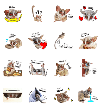 Pizzatoru of monkey