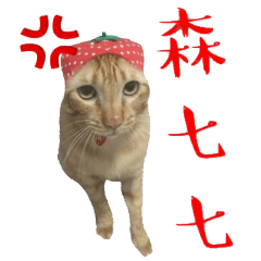 啾家與朋友