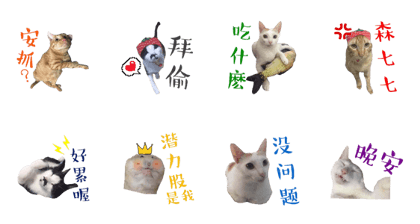 Chu famil and friend