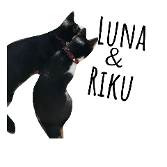 Luna&Riku