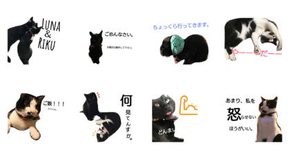 Luna&Riku