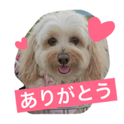 Nishiuchi Rinchan