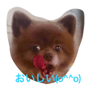 kotaro stanp