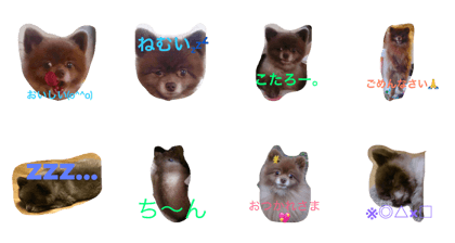 kotaro stanp