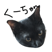kuuchan cat sticker