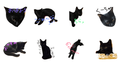 kuuchan cat sticker