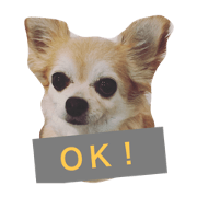 itoshinohimechan