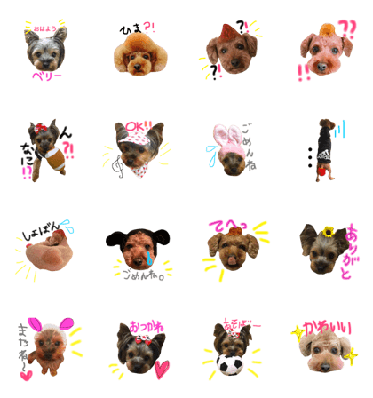 love dooog