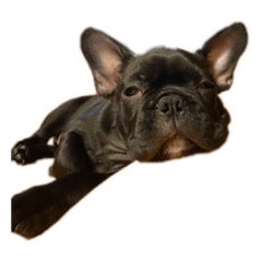 sumireyamamoto_20210616114128