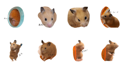 a hamster mint