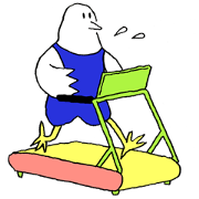 exercising bird