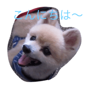 koromarorio2
