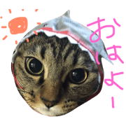 cute mamechan