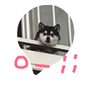 Azoko
