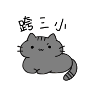 the practical cat