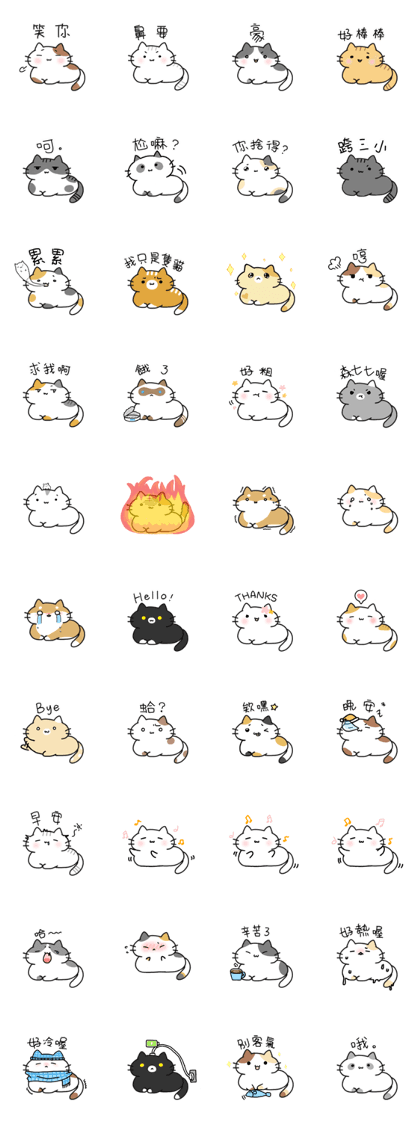 the practical cat