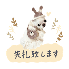 チワワのろよ♡ご挨拶スタンプ