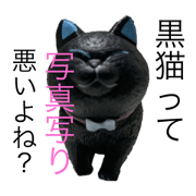 kotaro_20210616200943
