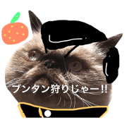 Cat's Bunkaku