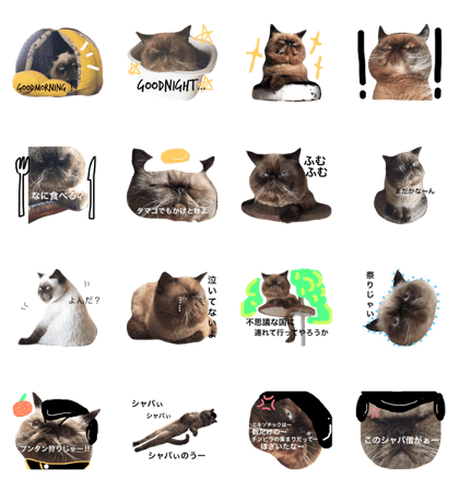 Cat's Bunkaku