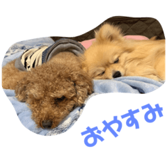 miki_20210616212644
