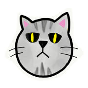 dull dull the cat