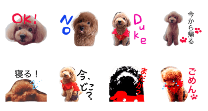DUKE