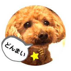 MIKI_20210616234247
