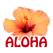 ALOHA-07