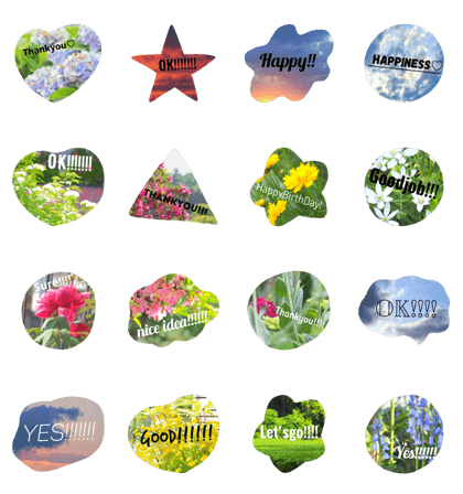 Flower, sky and the scenery.