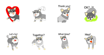 Chihuahua Talking Sticker