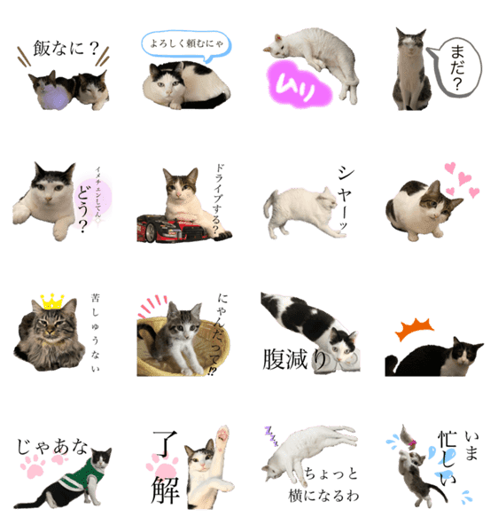 家ネコ科2 Lineクリエイターズスタンプ Stamplist