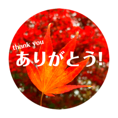 紅葉japaneseスタンプ Line スタンプ Line Store 紅葉japaneseスタンプ Line スタンプ Line Store