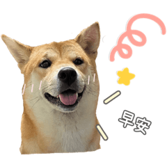 COCO的日常生活2