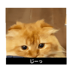 ayumi_20210616193615