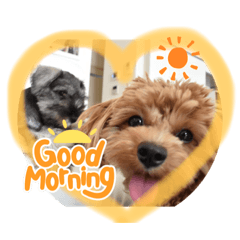 SAORI_20210617104045