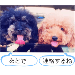 YUKARI_20210616202242