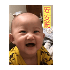 安安公主的日常