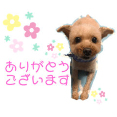 yukari_20210616220721