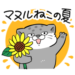 Manul cat summer sticker