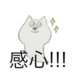 cat bear ghost